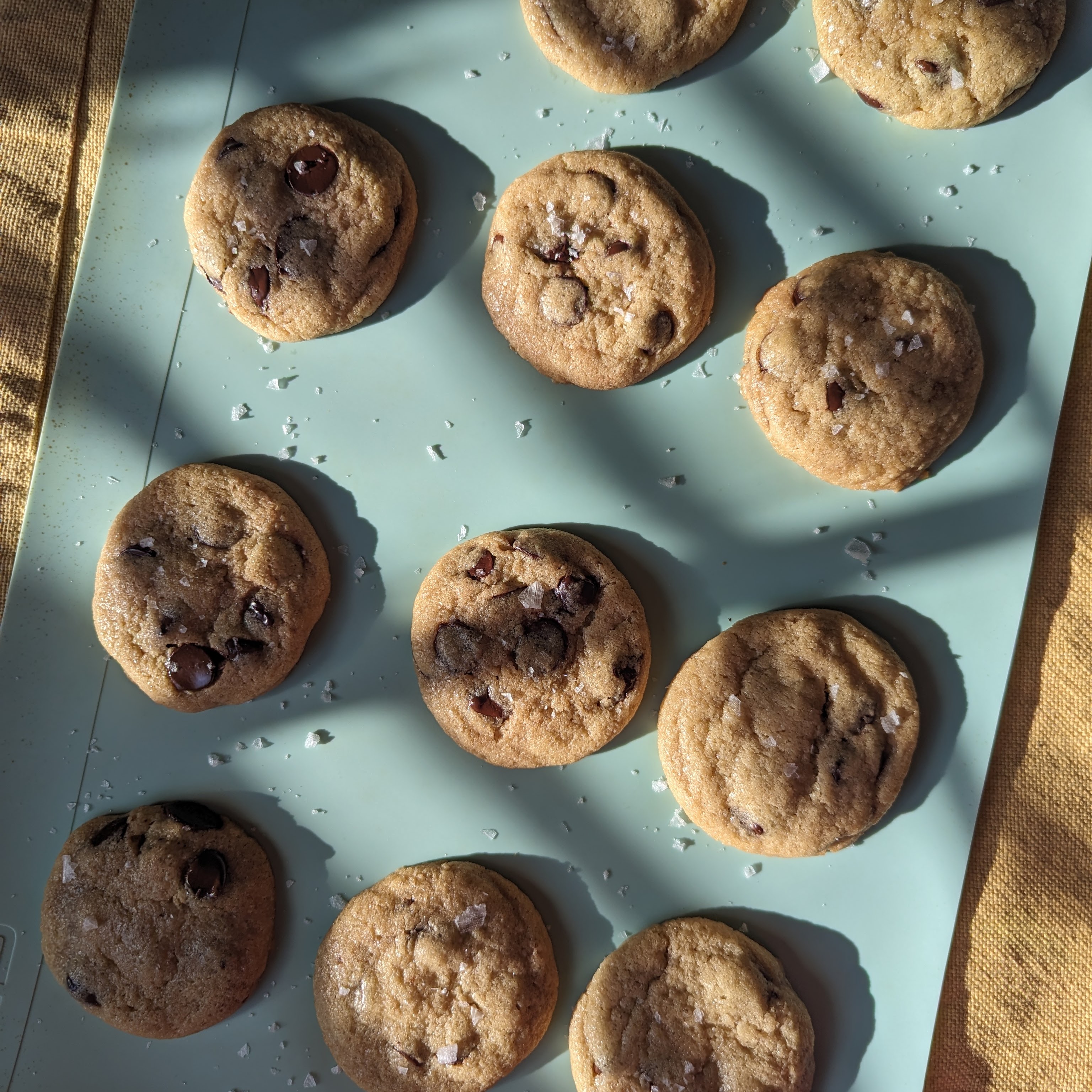 Chocolate chip cookies with shadowy lighting